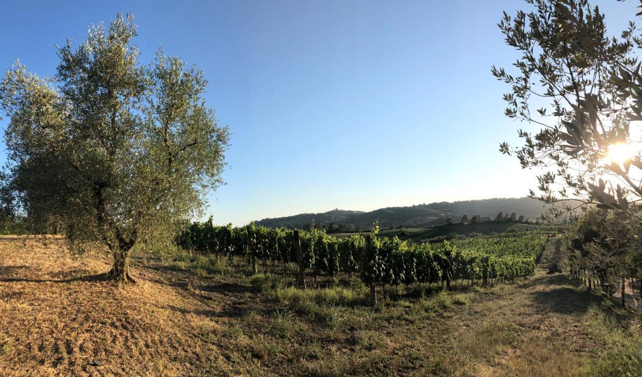 Agriturismo Poggio Del Drago Montemerano Exterior foto