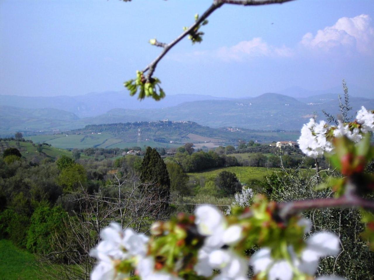 Agriturismo Poggio Del Drago Montemerano Exterior foto